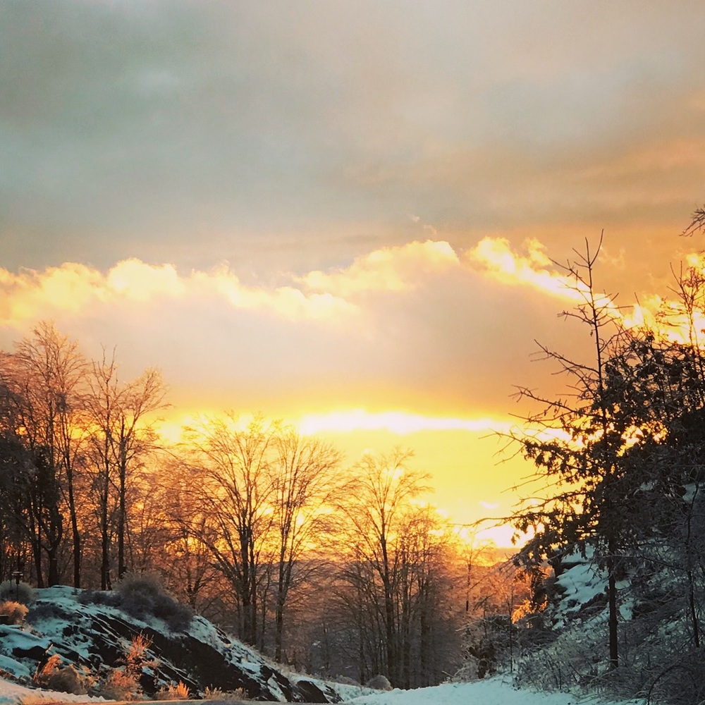 Meet your Posher, Leigh